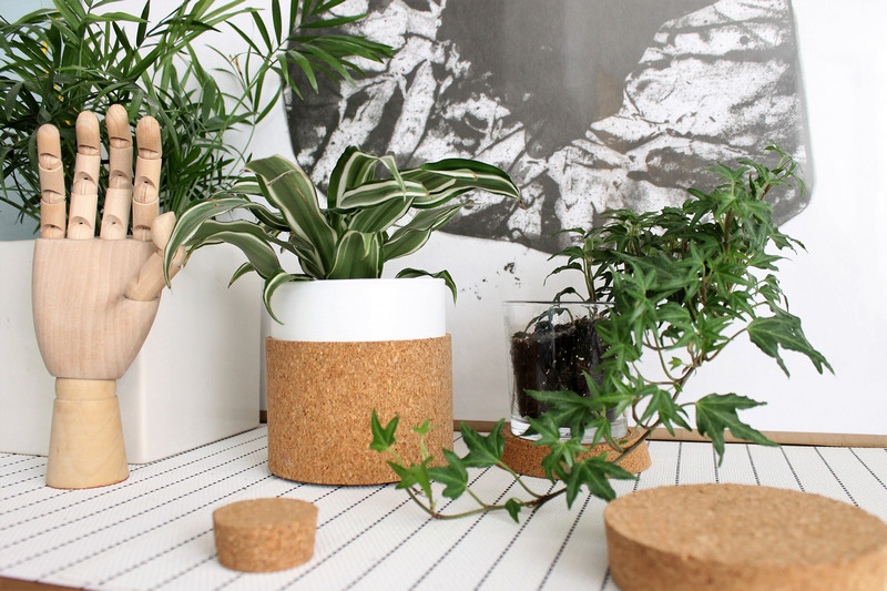 עציץ שעם - עשה זאת בעצמך 